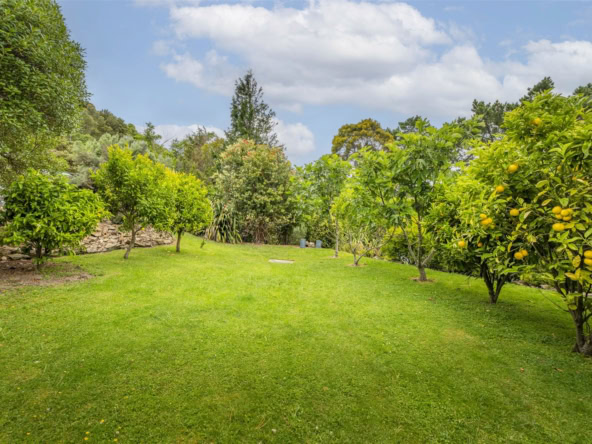 K Real Estate Agency - Motueka | Nelson | Tasman & Golden Bay - 0 Ahitarakihi Bay - Arapawa Island