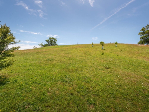 K Real Estate Agency - Motueka | Nelson | Tasman & Golden Bay - 17 Deck Road - Tasman