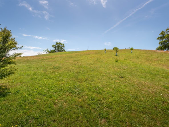 K Real Estate Agency - Motueka | Nelson | Tasman & Golden Bay - 17 Deck Road - Tasman