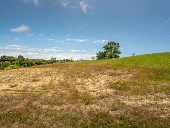 K Real Estate Agency - Motueka | Nelson | Tasman & Golden Bay - 17 Deck Road - Tasman
