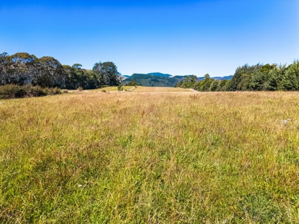K Real Estate Agency - Motueka | Nelson | Tasman & Golden Bay - 1918 Takaka Valley Highway - Takaka