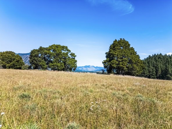 K Real Estate Agency - Motueka | Nelson | Tasman & Golden Bay - 1918 Takaka Valley Highway - Takaka