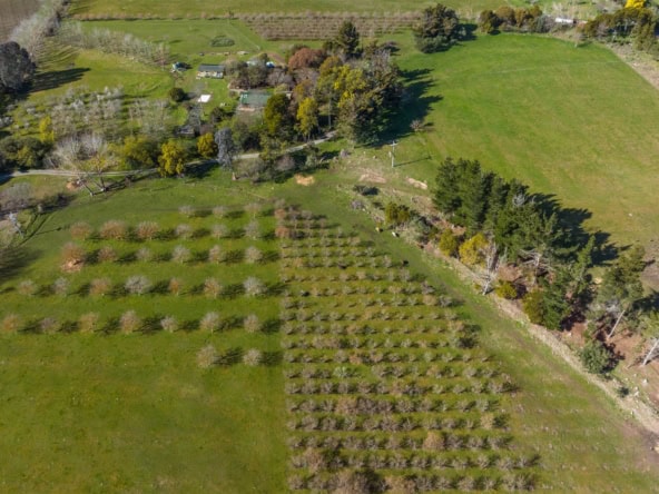 K Real Estate Agency - Motueka | Nelson | Tasman & Golden Bay - 195 Tyntesfield Road - Waihopai Valley
