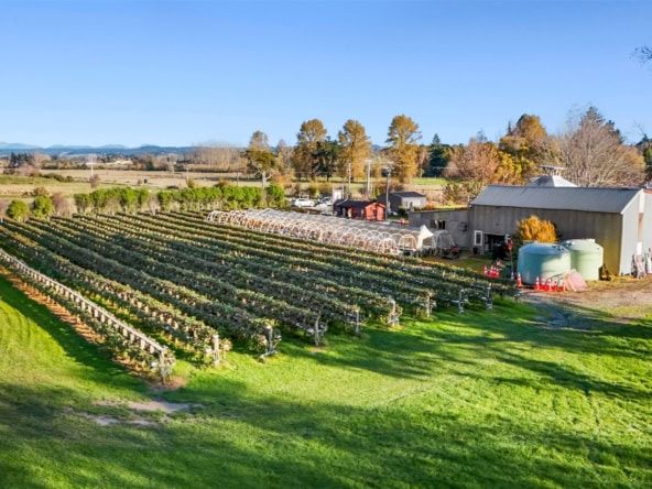 K Real Estate Agency - Motueka | Nelson | Tasman & Golden Bay - 20 Neudorf Road - Upper Moutere
