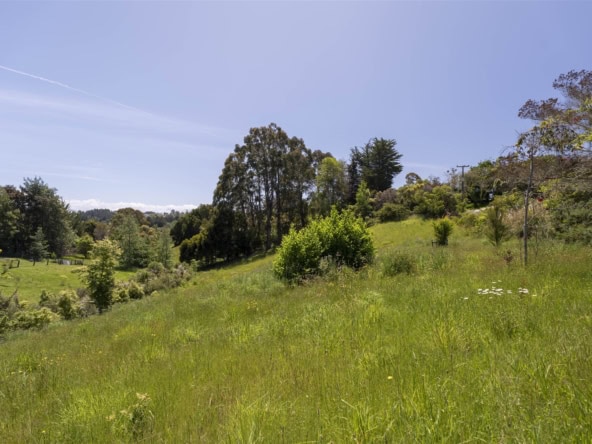 K Real Estate Agency - Motueka | Nelson | Tasman & Golden Bay - 21 Korepo Road - Mapua