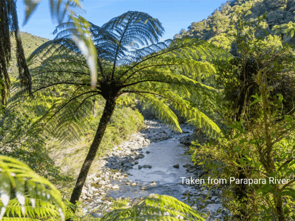 K Real Estate Agency - Motueka | Nelson | Tasman & Golden Bay - 213 Parapara Valley Road - Parapara