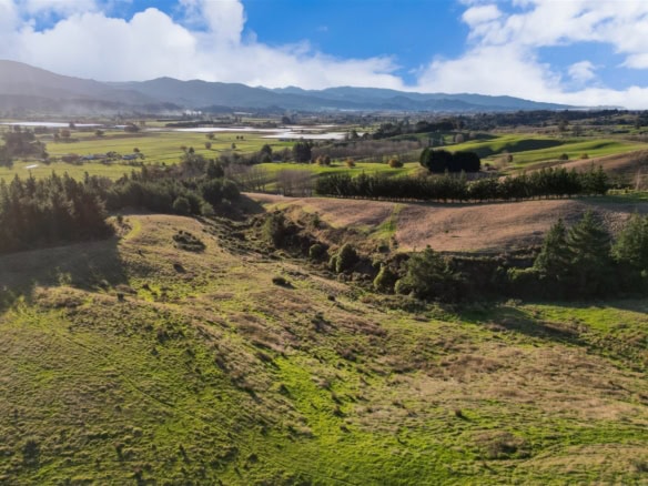 K Real Estate Agency - Motueka | Nelson | Tasman & Golden Bay - 2384 Moutere Highway - Upper Moutere