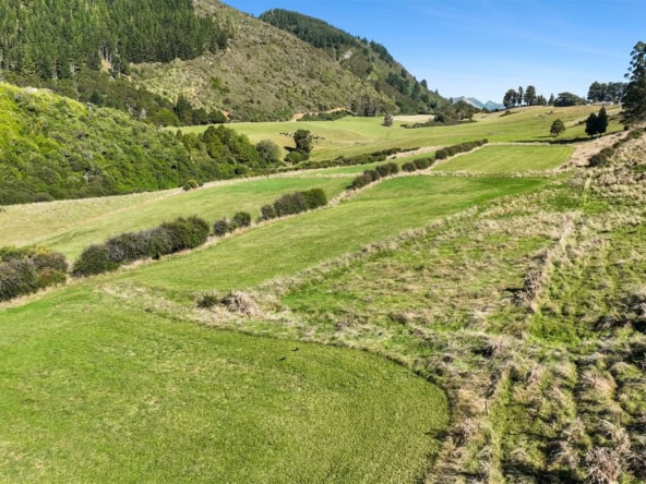 K Real Estate Agency - Motueka | Nelson | Tasman & Golden Bay - 333 Packard Road - Takaka