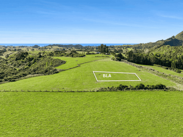K Real Estate Agency - Motueka | Nelson | Tasman & Golden Bay - 333 Packard Road - Takaka