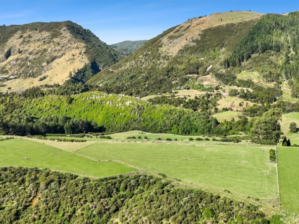 K Real Estate Agency - Motueka | Nelson | Tasman & Golden Bay - 333 Packard Road - Takaka