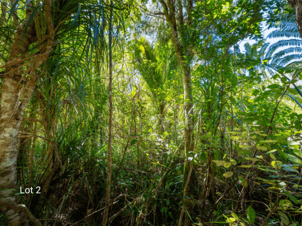 K Real Estate Agency - Motueka | Nelson | Tasman & Golden Bay - 425 Pakawau Bush Road - Pakawau