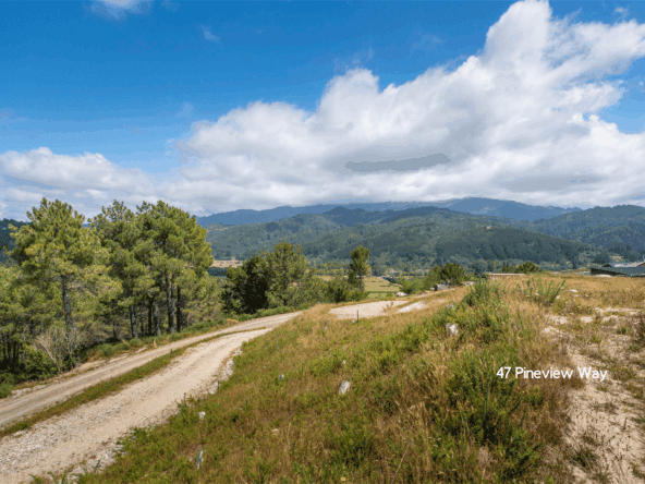 K Real Estate Agency - Motueka | Nelson | Tasman & Golden Bay - 45 & 47 Pineview Way - Motueka