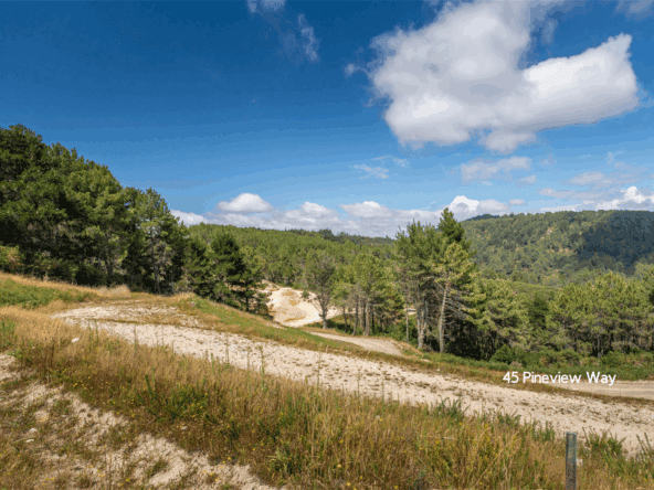 K Real Estate Agency - Motueka | Nelson | Tasman & Golden Bay - 45 & 47 Pineview Way - Motueka