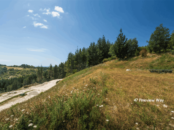 K Real Estate Agency - Motueka | Nelson | Tasman & Golden Bay - 45 & 47 Pineview Way - Motueka