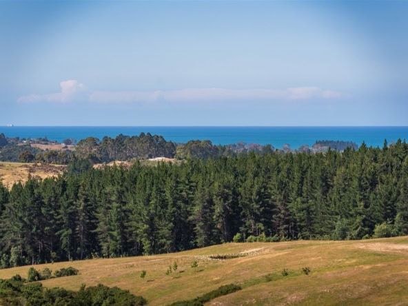K Real Estate Agency - Motueka | Nelson | Tasman & Golden Bay - 45 Mahana Ridge - Mahana