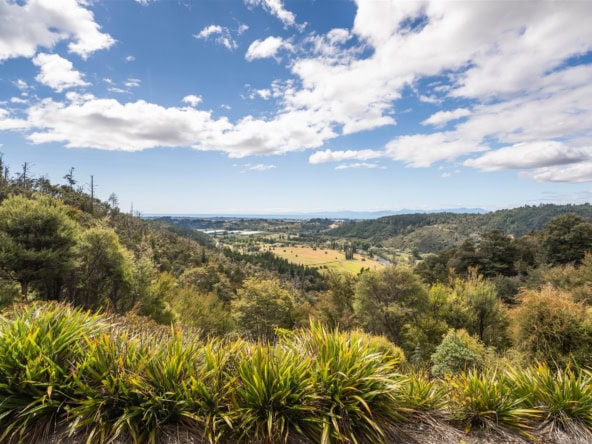 K Real Estate Agency - Motueka | Nelson | Tasman & Golden Bay - 4/820 Motueka River West Bank Road - Motueka