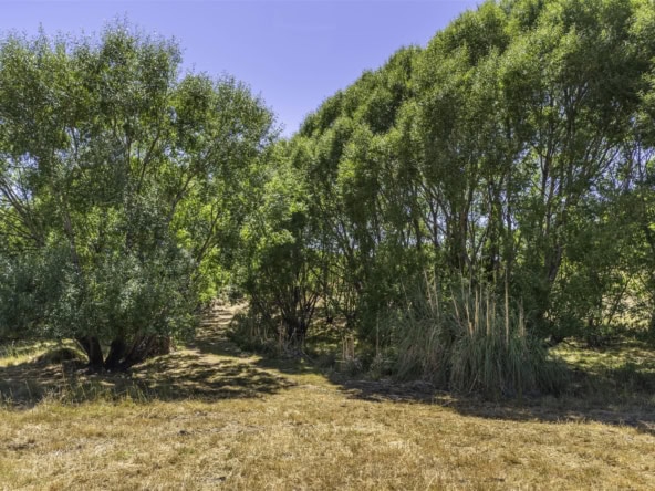 K Real Estate Agency - Motueka | Nelson | Tasman & Golden Bay - 50 Cliff Road - Tasman
