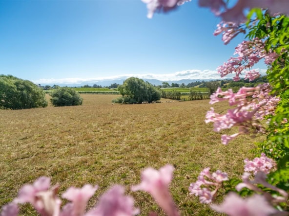 K Real Estate Agency - Motueka | Nelson | Tasman & Golden Bay - 50 Cliff Road - Tasman