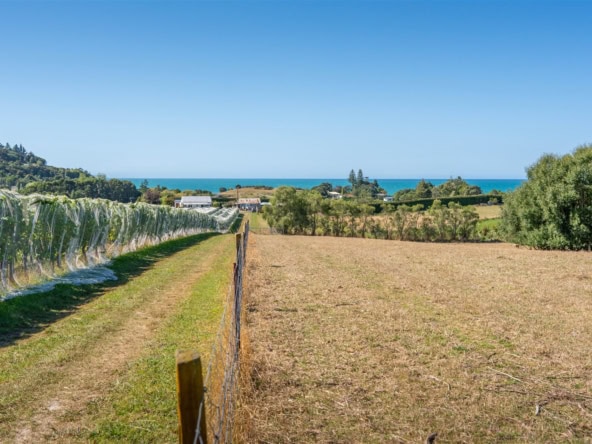 K Real Estate Agency - Motueka | Nelson | Tasman & Golden Bay - 50 Cliff Road - Tasman