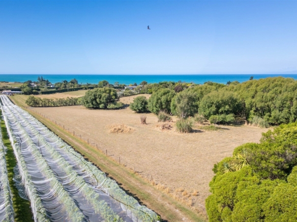 K Real Estate Agency - Motueka | Nelson | Tasman & Golden Bay - 50 Cliff Road - Tasman