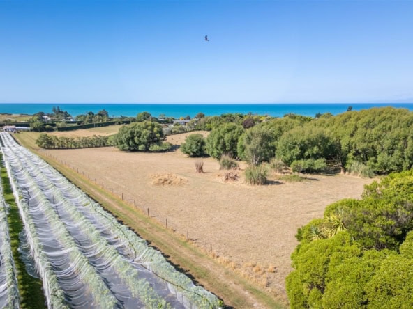 K Real Estate Agency - Motueka | Nelson | Tasman & Golden Bay - 50 Cliff Road - Tasman