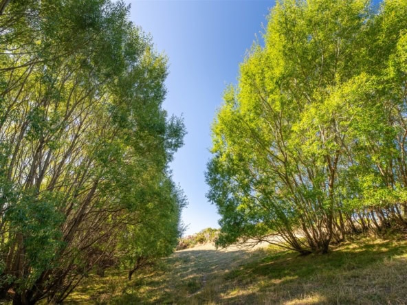 K Real Estate Agency - Motueka | Nelson | Tasman & Golden Bay - 50 Cliff Road - Tasman