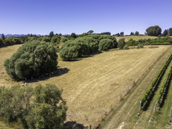 K Real Estate Agency - Motueka | Nelson | Tasman & Golden Bay - 50 Cliff Road - Tasman