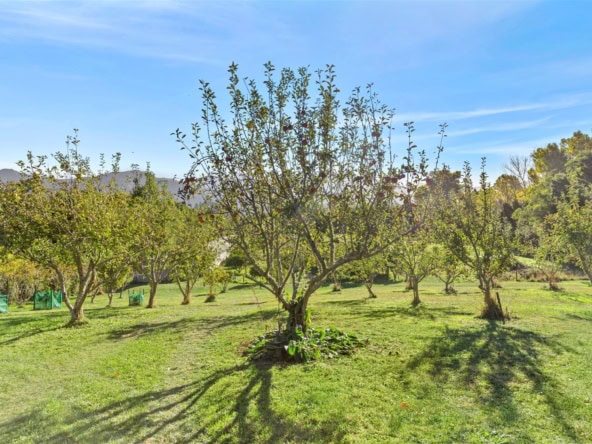 K Real Estate Agency - Motueka | Nelson | Tasman & Golden Bay - 656 East Takaka Road - Takaka