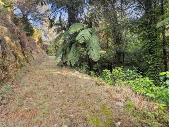 K Real Estate Agency - Motueka | Nelson | Tasman & Golden Bay - 80 Pupu Valley Road - Takaka