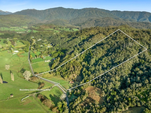 K Real Estate Agency - Motueka | Nelson | Tasman & Golden Bay - 80 Pupu Valley Road - Takaka