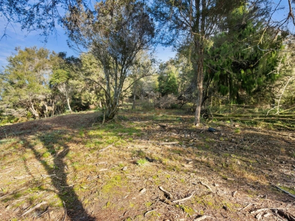 K Real Estate Agency - Motueka | Nelson | Tasman & Golden Bay - 80 Pupu Valley Road - Takaka
