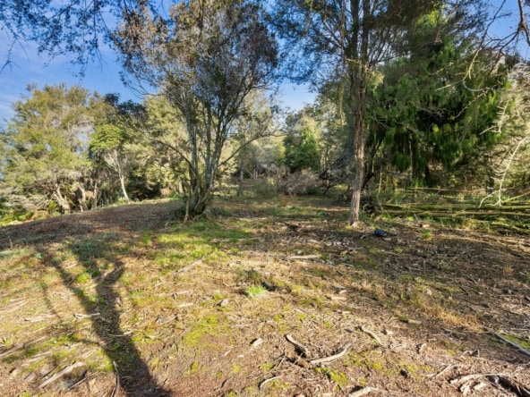 K Real Estate Agency - Motueka | Nelson | Tasman & Golden Bay - 80 Pupu Valley Road - Takaka