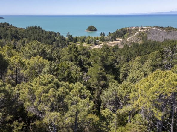 K Real Estate Agency - Motueka | Nelson | Tasman & Golden Bay - Lot 1