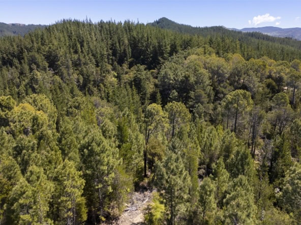 K Real Estate Agency - Motueka | Nelson | Tasman & Golden Bay - Lot 1