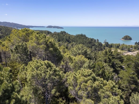 K Real Estate Agency - Motueka | Nelson | Tasman & Golden Bay - Lot 1