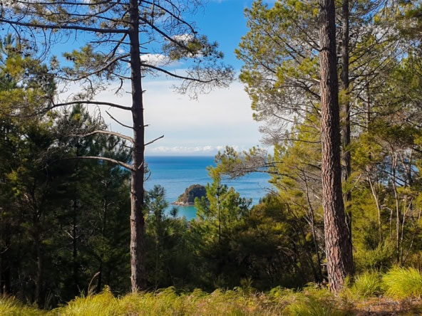 K Real Estate Agency - Motueka | Nelson | Tasman & Golden Bay - Lot 1