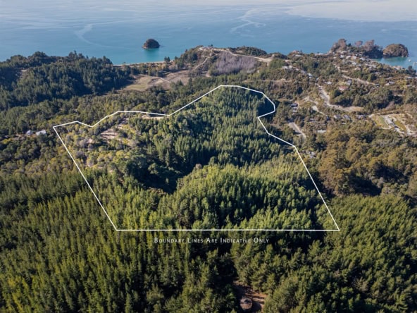 K Real Estate Agency - Motueka | Nelson | Tasman & Golden Bay - Lot 1
