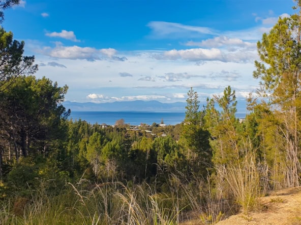 K Real Estate Agency - Motueka | Nelson | Tasman & Golden Bay - Lot 1