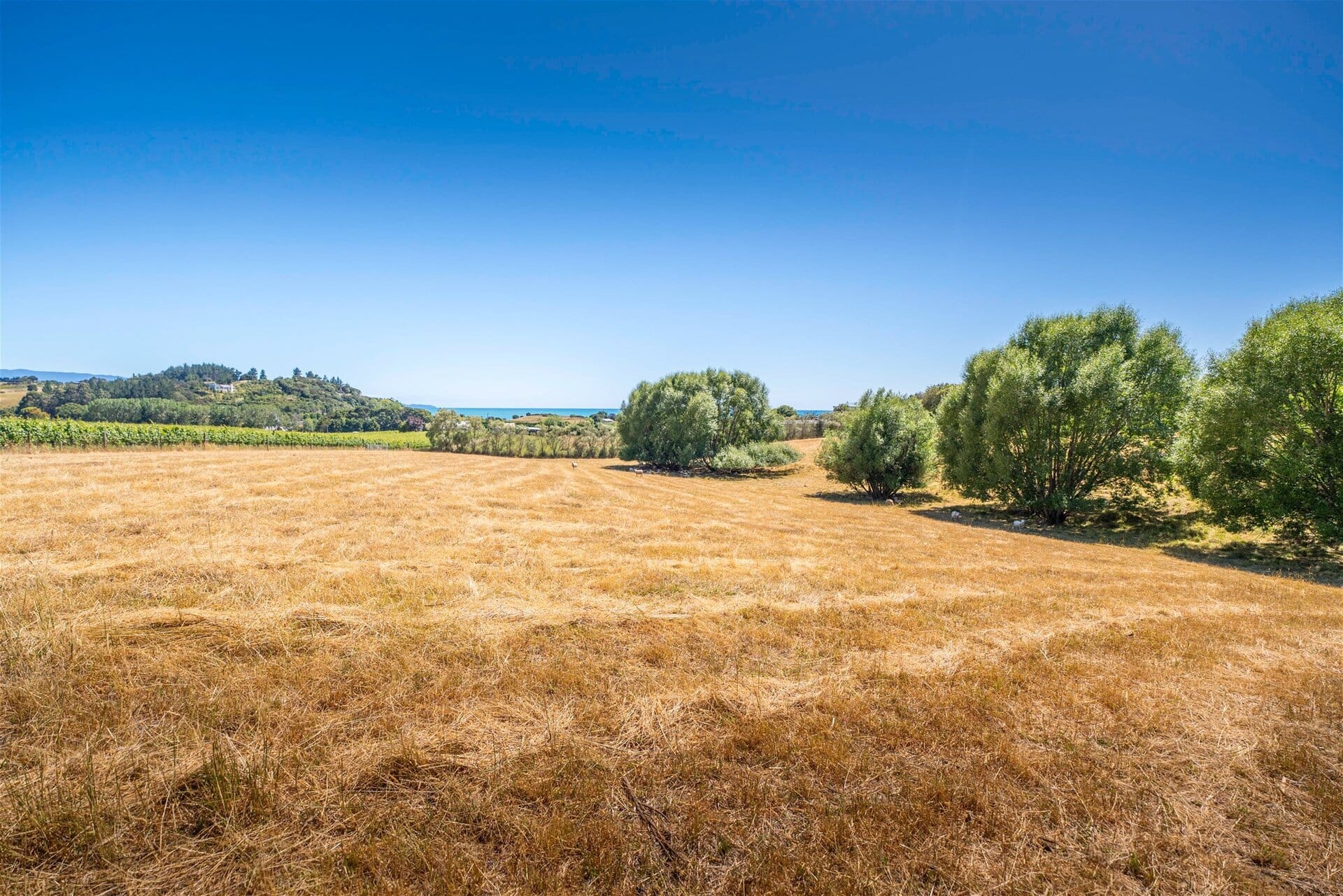 50 Cliff Road – Tasman K Real Estate Agency - Motueka | Nelson | Tasman & Golden Bay - 50 Cliff Road - Tasman