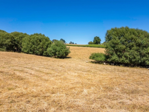 K Real Estate Agency - Motueka | Nelson | Tasman & Golden Bay - 50 Cliff Road - Tasman