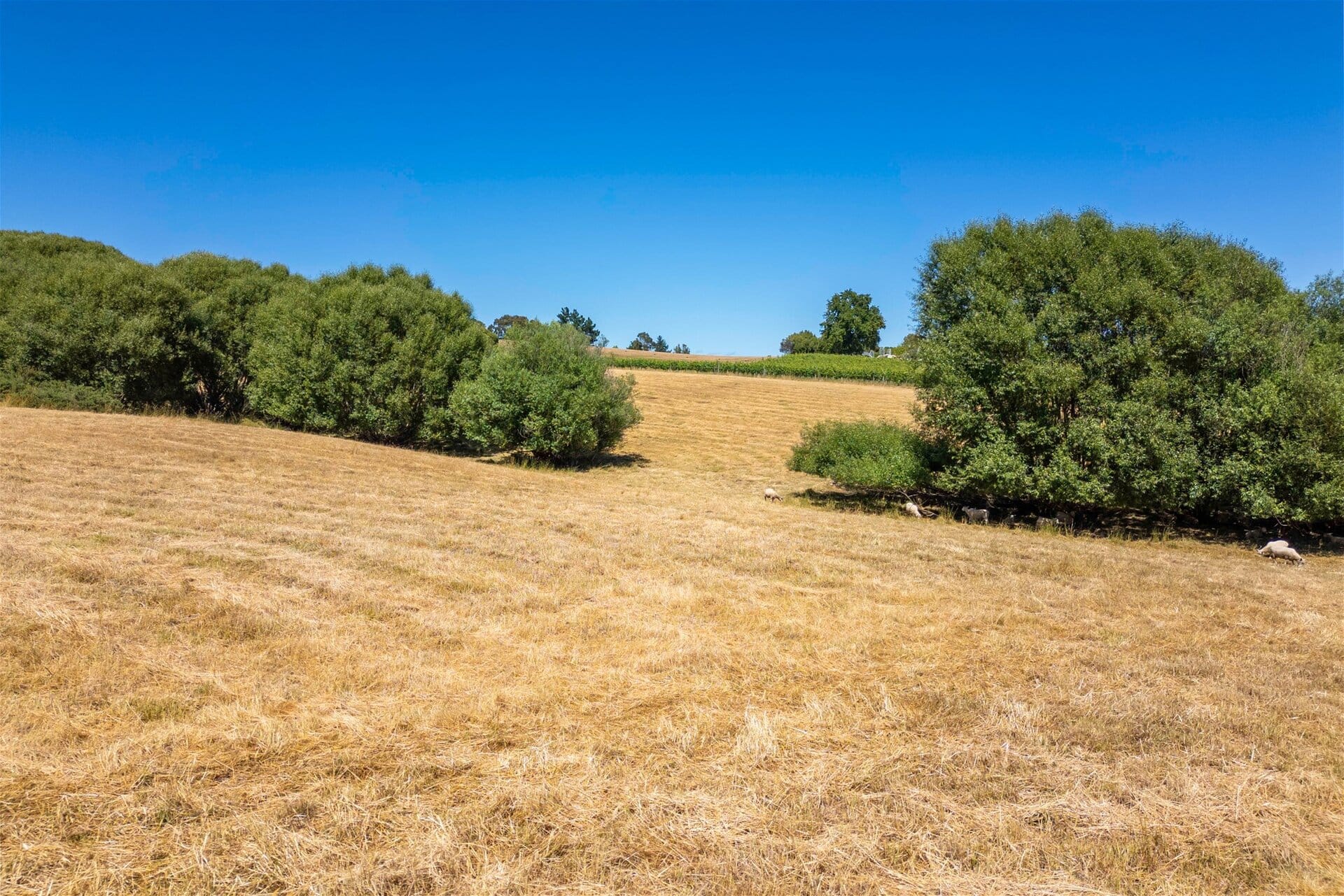 50 Cliff Road – Tasman K Real Estate Agency - Motueka | Nelson | Tasman & Golden Bay - 50 Cliff Road - Tasman