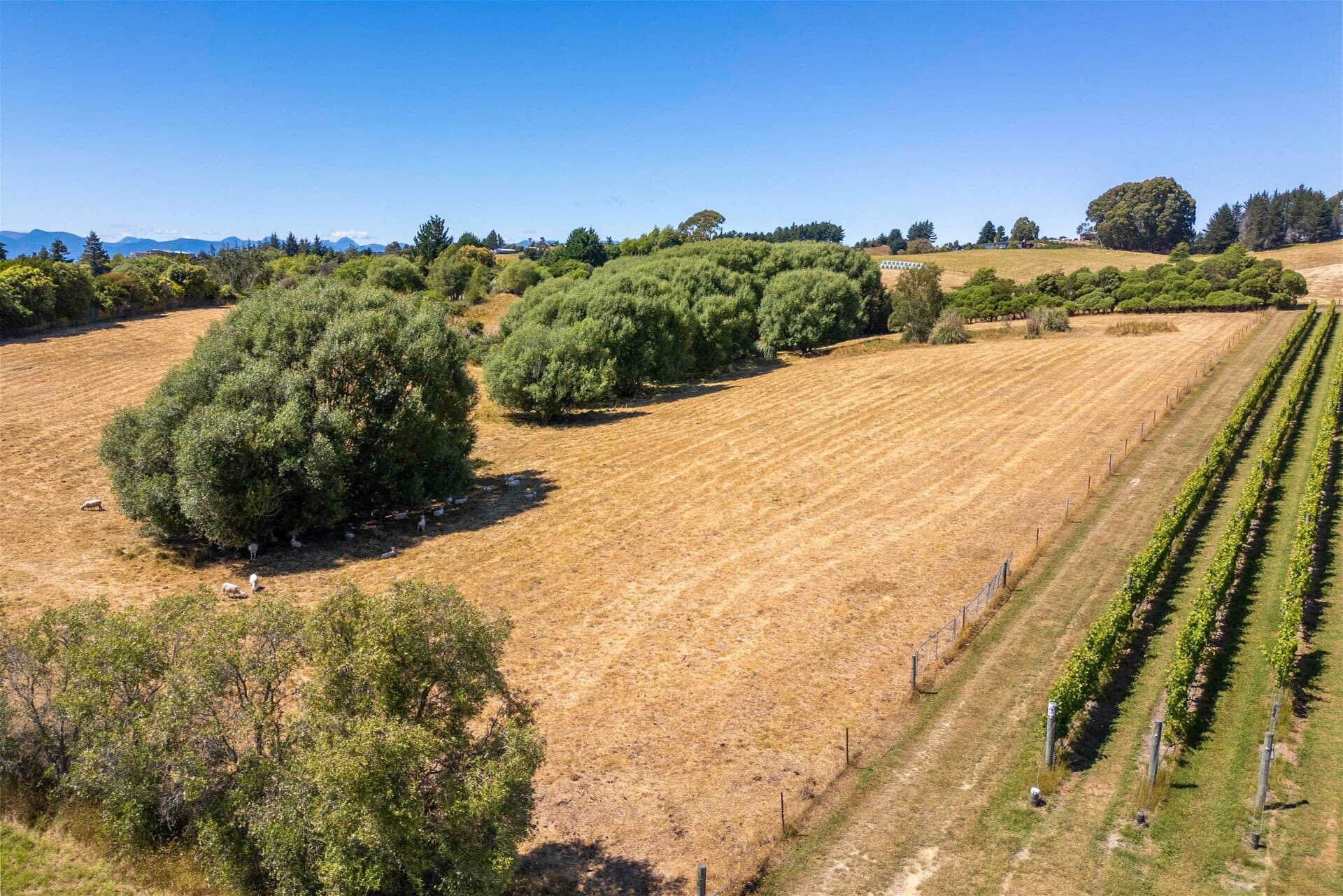 50 Cliff Road – Tasman K Real Estate Agency - Motueka | Nelson | Tasman & Golden Bay - 50 Cliff Road - Tasman