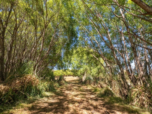 K Real Estate Agency - Motueka | Nelson | Tasman & Golden Bay - 50 Cliff Road - Tasman