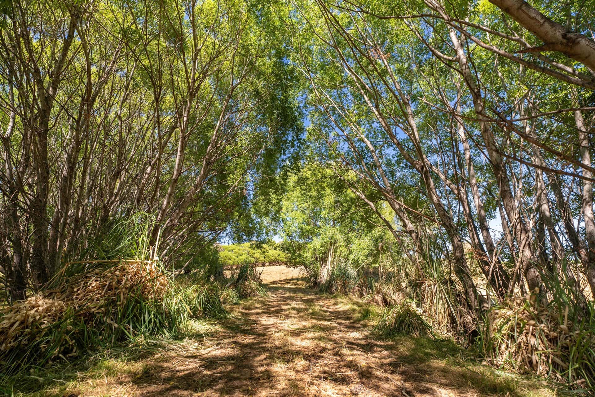 50 Cliff Road – Tasman K Real Estate Agency - Motueka | Nelson | Tasman & Golden Bay - 50 Cliff Road - Tasman