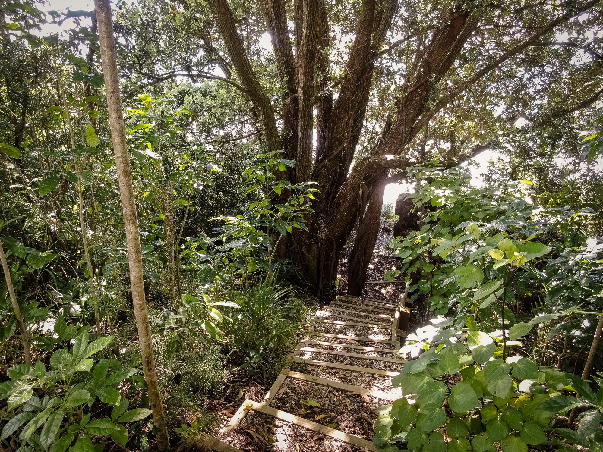 K Real Estate Agency - Motueka | Nelson | Tasman & Golden Bay - 87 Beach Road - Collingwood