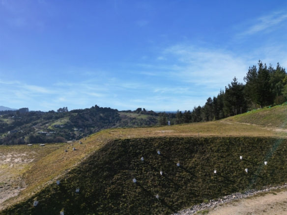 K Real Estate Agency - Motueka | Nelson | Tasman & Golden Bay - 45 and 47 Pineview Way - Motueka