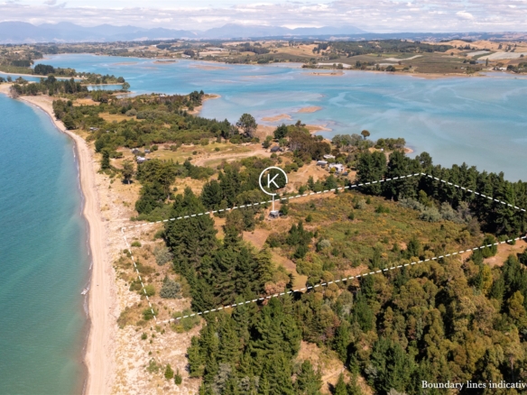 K Real Estate Agency - Motueka | Nelson | Tasman & Golden Bay - 143 Jackett Island - Motueka