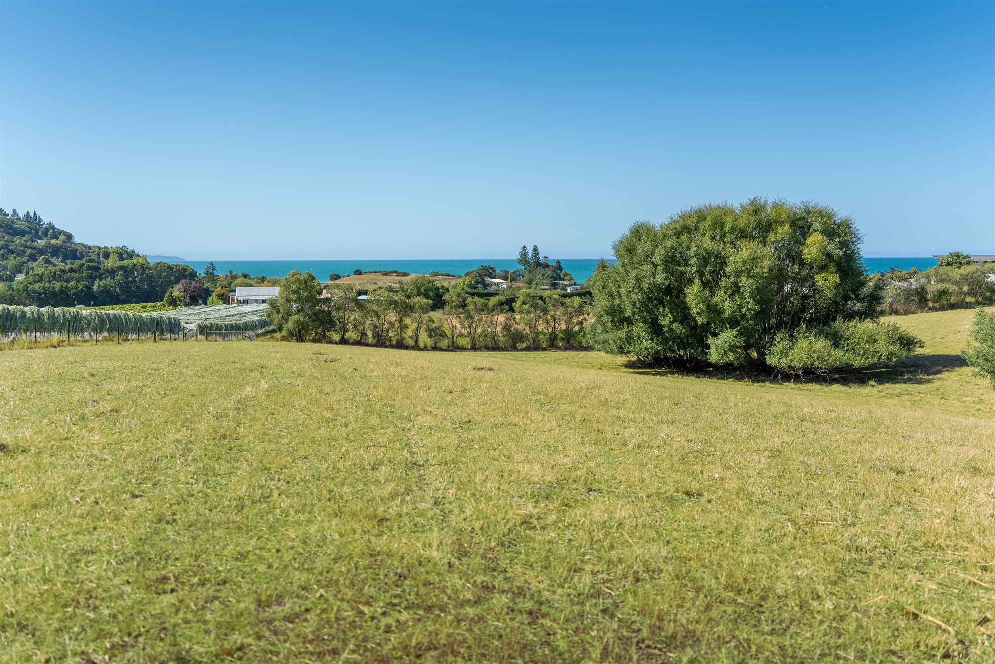 K Real Estate Agency - Motueka | Nelson | Tasman & Golden Bay - 50 Cliff Road - Tasman