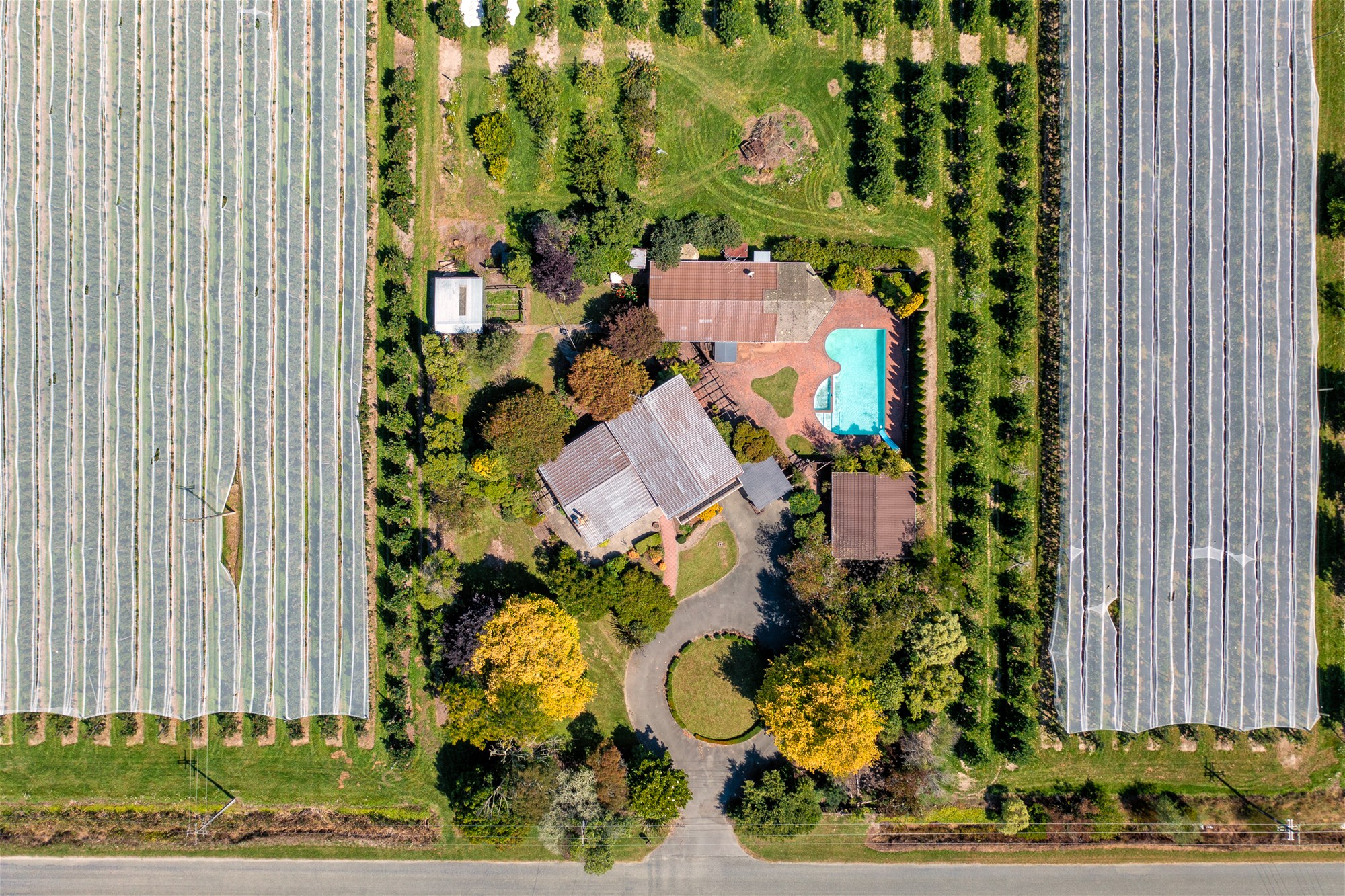 K Real Estate Agency - Motueka | Nelson | Tasman & Golden Bay - 81 Ching Road - Lower Moutere