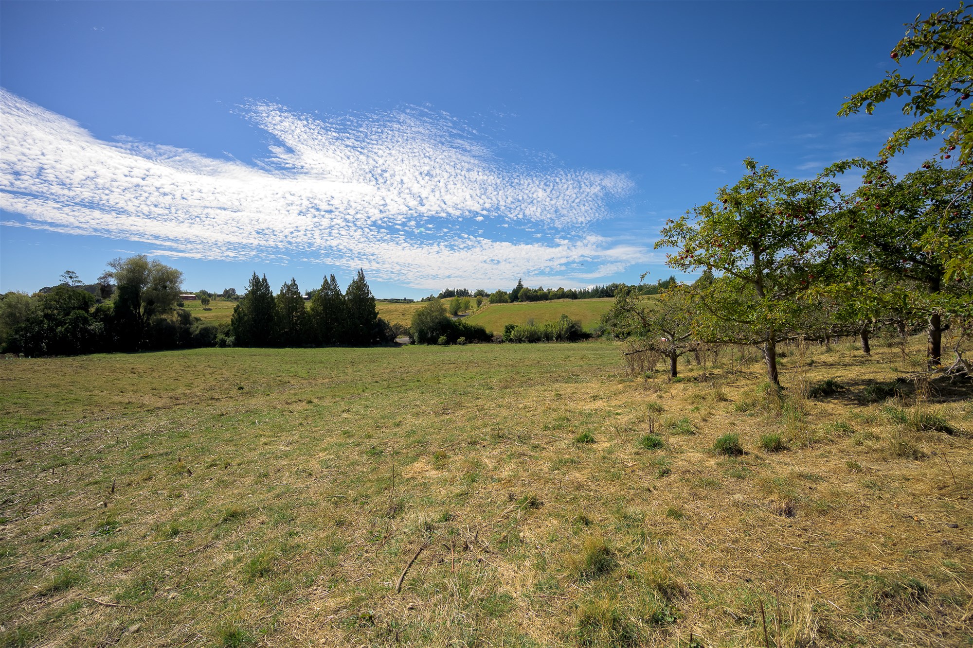 K Real Estate Agency - Motueka | Nelson | Tasman & Golden Bay - Lots 1-3 Pomona Road Subdivision - Ruby Bay